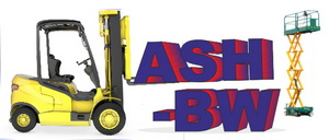 logo ash 300